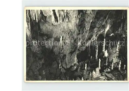 Hoehlen Caves Grottes Attendorner Tropfsteinhoehle Zentralhalle Kat. Berge