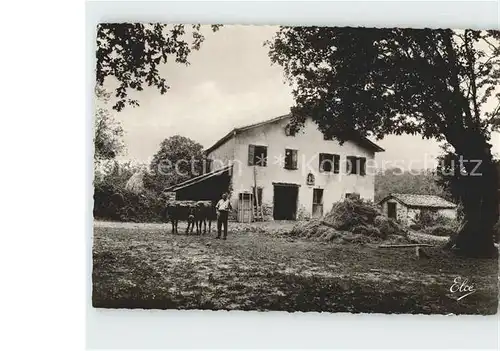 Landwirtschaft Kuehe Bauer Ferme Basque  Kat. Landwirtschaft