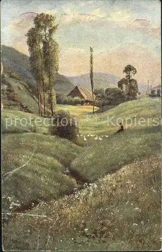 Hoffmann Heinrich Schwarzwald Idyll Aufstieg zum Landwassereck Bahnpost Kat. Kuenstlerkarte