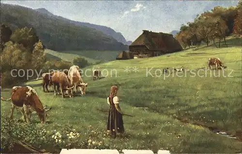Hoffmann Heinrich Weidende Herde Schwarzwald Kuehe  Kat. Kuenstlerkarte