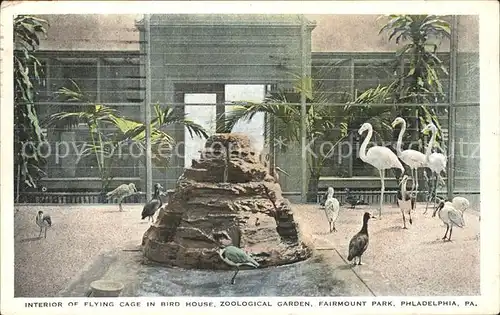 Flamingo Philadelphia Zoological Garden Flying Cage Bird House  Kat. Tiere