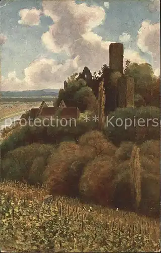 Hoffmann Heinrich Ruine Ehrenberg am Neckar Kat. Kuenstlerkarte