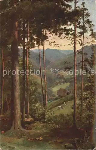 Hoffmann Heinrich Schwarzwald Durchblick ins Tal  Kat. Kuenstlerkarte