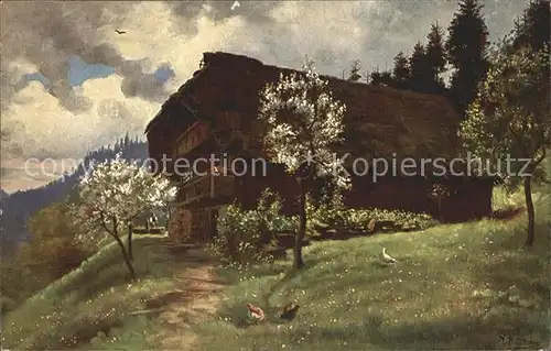 Hoffmann Heinrich Fruehling im Schwarzwald  Kat. Kuenstlerkarte