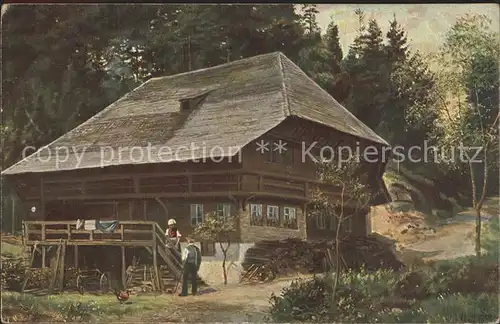 Hoffmann Heinrich Schwarzwaldhaus Todtmoos  Kat. Kuenstlerkarte
