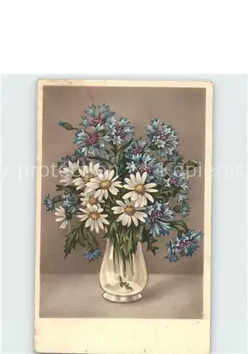 Blumen Margeriten Kornblumen Vase  Kat. Pflanzen