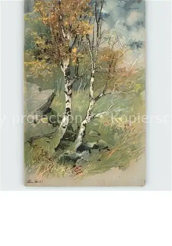 Baeume Trees Kuenstlerkarte Litho Kat. Pflanzen