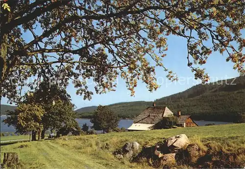 Schwarzwald Haus am See Kat. Regionales