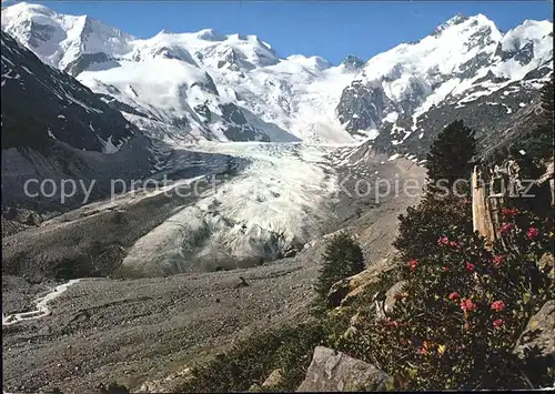 Gletscher Morteratschgletscher Bernina Gruppe Kat. Berge