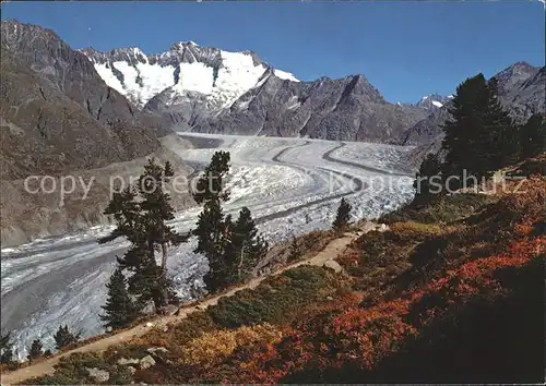 Gletscher Grosser Aletschgletscher Bettmeralp Wannenhorn  Kat. Berge