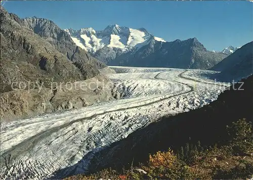 Gletscher Grosser Aletschgletscher Schoenbuehlhorn Wannenhorn  Kat. Berge