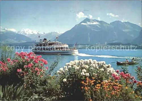 Motorschiffe Thunersee Bluemlisalp Niesen Kat. Schiffe