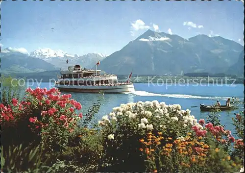 Motorschiffe Thunersee Bluemlisalp Niesen Kat. Schiffe