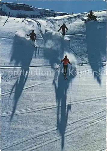 Skifahren Neuschnee  Kat. Sport