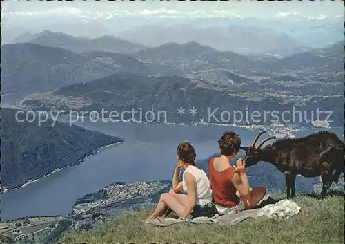 Ziege Monte Rosa Lago di Lugano Berner Alpen  Kat. Tiere