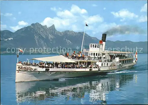 Dampfer Seitenrad Bluemlisalp Thunersee  Kat. Schiffe