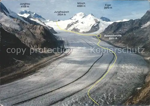 Gletscher Grosser Aletschgletscher Wanderweg Kat. Berge