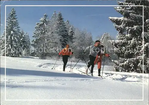 Ski Langlauf  Kat. Sport