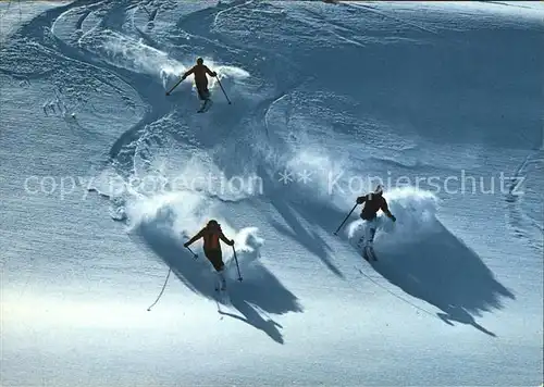Ski Abfahrt Neuschnee  Kat. Sport