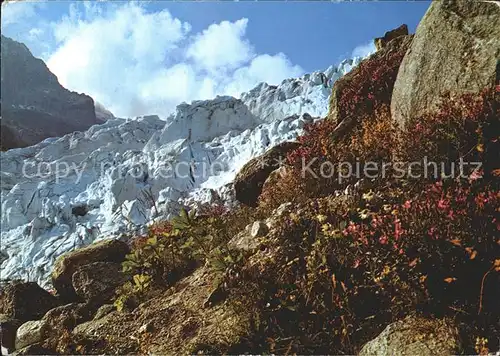 Gletscher Rhonegletscher  Kat. Berge