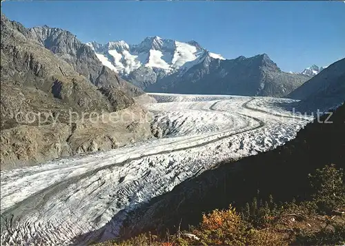 Gletscher Aletschgletscher Schoenbuehlhorn Wannenhorn Kat. Berge