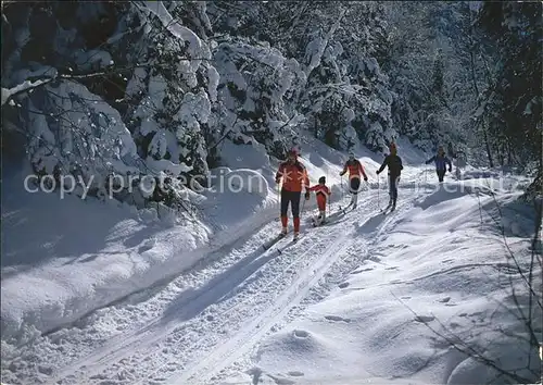 Ski Langlauf Skiwandern  Kat. Sport