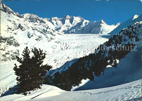 Gletscher Grosser Aletschgletscher Riederalp Bettmeralp Wannenhorn Kat. Berge