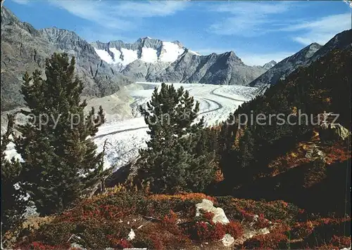 Gletscher Grosser Aletschgletscher Wannenhorn Eggishorn  Kat. Berge