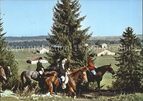 Reitsport Pferdesport Pferderennen Franches Montagnes Kat. Sport