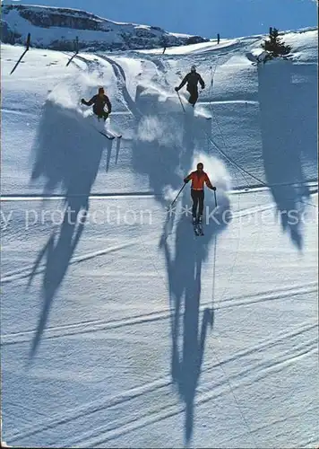 Ski Abfahrt Skifahrer Neuschnee  Kat. Sport