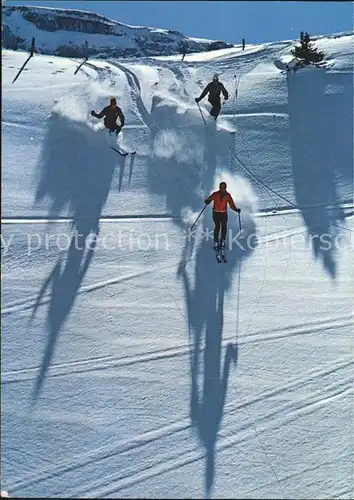 Skifahren Skifahrer Neuschnee Leukerbad  Kat. Sport
