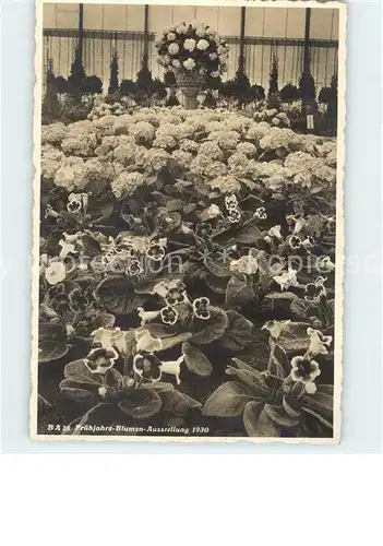 Ausstellung Fruehjahrs Blumen 1930 Zuerich Kat. Expositions