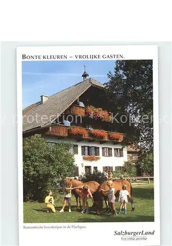 Pferde Kinder Bonte Kleuren Salzburger Land  Kat. Tiere