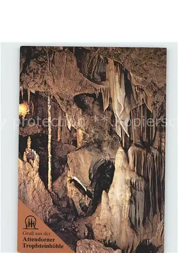 Hoehlen Caves Grottes Attendorn Tropfsteinhoehle Eisbaer  Kat. Berge