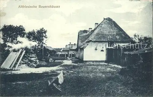 Bauernhaus Altfriesische Bauernhaeuser  Kat. Landwirtschaft