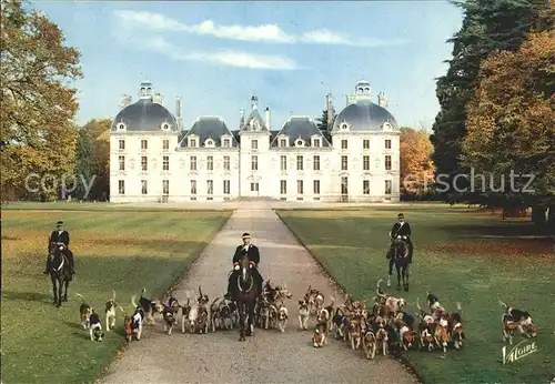 Reitsport Pferdesport Pferderennen Jagdreiten Val de Loire Cheverny Chateau Kat. Sport