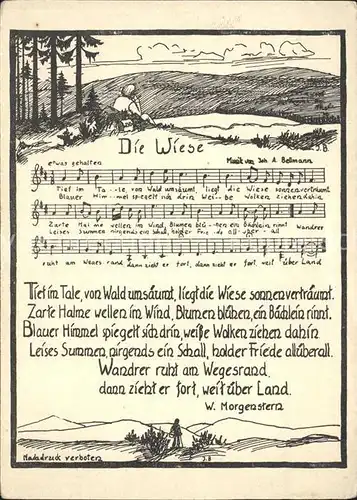 Liederkarte Die Wiese W. Morgenstern  Kat. Musik