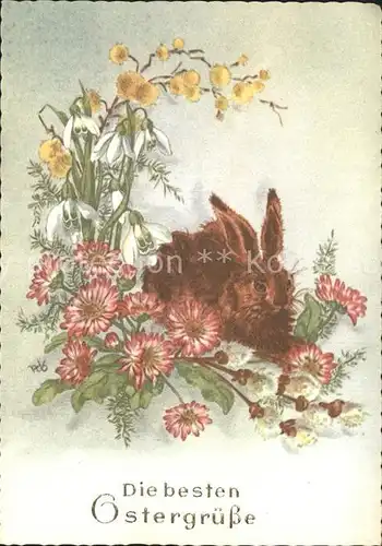 Hasen Ostern Gaensebluemchen Schneegloeckchen Kat. Tiere