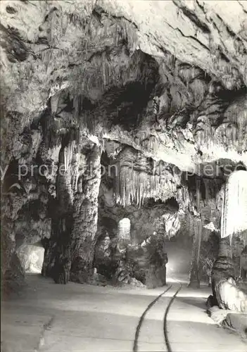 Hoehlen Caves Grottes Postojnska Jama Slovenia Jugoslavia Kat. Berge