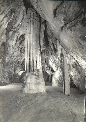 Hoehlen Caves Grottes Postojnska Jama Slovenia Jugoslavia  Kat. Berge