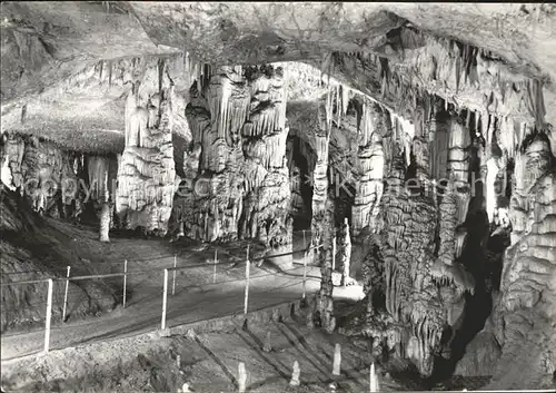 Hoehlen Caves Grottes Postojnska Jama Slovenija Jugoslavija Kat. Berge