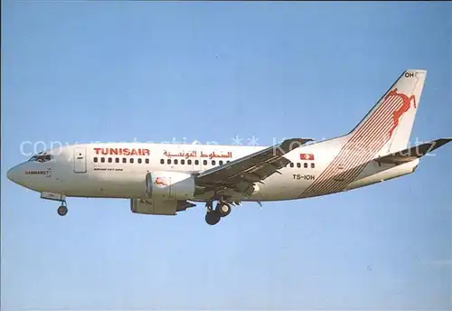 Flugzeuge Zivil Tunisair Boeing 737 5H3 TS IHO  Kat. Airplanes Avions