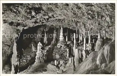 Hoehlen Caves Grottes Baerenhoehle Karlshoehle Erpfingen Kat. Berge