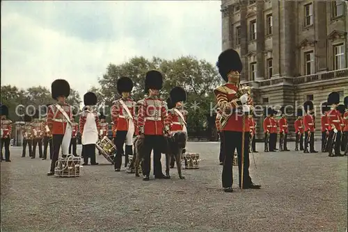 Leibgarde Wache Corps of Drum 1st Battalion Irish Guards Forecourt Buckingham Palace Shaun Regiment Mascot London  Kat. Polizei