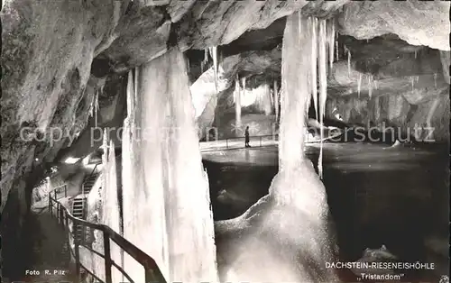 Hoehlen Caves Grottes Dachstein Riesenhoehle Tristandom  Kat. Berge