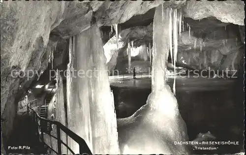 Hoehlen Caves Grottes Dachstein Rieseneishoehle Tristandom Kat. Berge