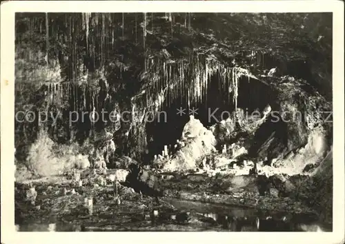 Hoehlen Caves Grottes Feengrotten Saalfeld Saale Maerchendom Gralsburg Kat. Berge