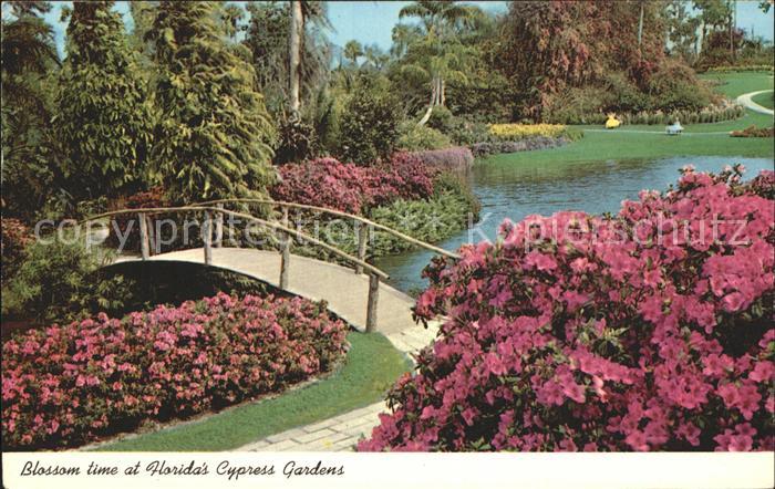 Blumen Blossom Florida S Cypress Gardens Kat Pflanzen Nr Kg82027