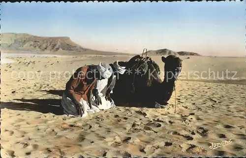 Scenes et Types Nr. 115 Bou Saada Priere dans le Desert Kamel  Kat. Typen