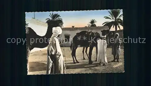 Scenes et Types Nr. 124 Bou Saada Chameliers dans l Oasis Kamele Kat. Typen